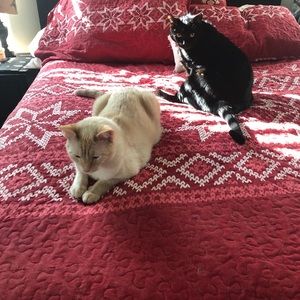 Meet your Posher, Shana